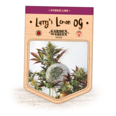 Garden Of Green Cannabis Seeds Larry S Lemon Og