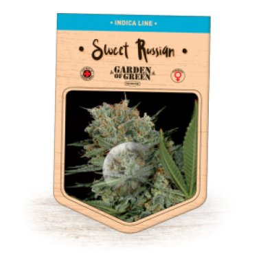 Garden Of Green Cannabis Seeds Sweet Russian