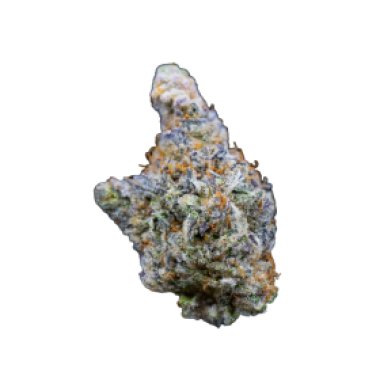 Growers Choice Cannabis Seeds Limited Edition Mimosa Gusher