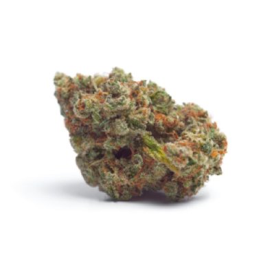 Growers Choice Cannabis Seeds Tropicana Wedding Cake Auto