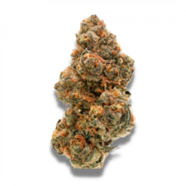 Growers Choice Cannabis Seeds Wedding Cake X Frosty Gelato Double Xl Auto