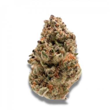 Growers Choice Cannabis Seeds Zkittlez
