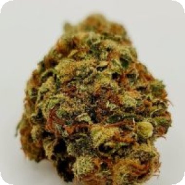 Kc Brains Cannabis Seeds Damage Wedding Cake