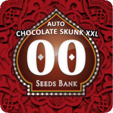 Oo Cannabis Seeds Auto Chocolate Skunk Xxl