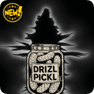 Cannabis Seedstockers Cannabis Seeds Superior Drizl Pickl Auto
