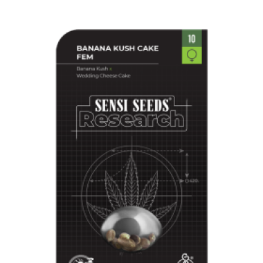 Sensi Research Cannabis Seeds Banana Kush Cake