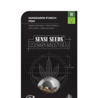 Sensi Research Cannabis Seeds Mandarine Punch