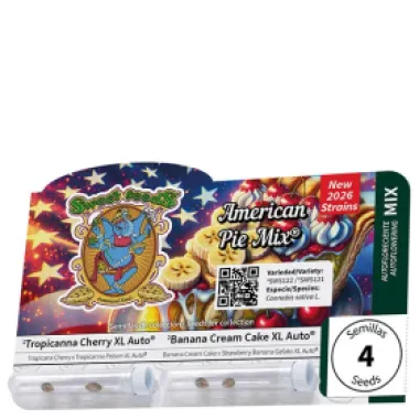 Sweet Cannabis Seeds American Pie Mix