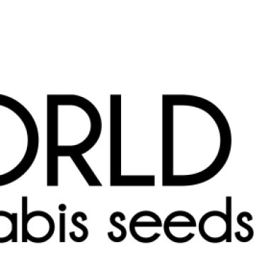 World Of Cannabis Seeds Cannabis Seeds Sativa Collection