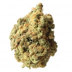 AK - 020 Feminised Seeds AK - 020 Feminised Seeds