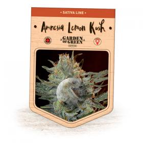 Amnesia Lemon Kush Feminised Seeds Amnesia Lemon Kush Feminised Seeds