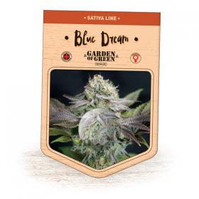 Blue Dream Feminised Cannabis Seeds Jpg