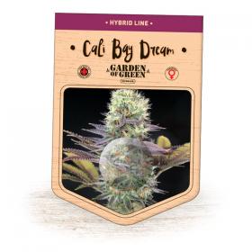Cali Bay Dream Feminised Cannabis Seeds Jpg