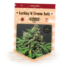 Cookies N Cream Auto Girl Scout Cookies Auto X Cream Caramel Auto Cannabis Seeds Garden Of Green Jpg