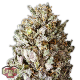 Diesel Drift Feminised Seeds Diesel Drift Feminised Seeds