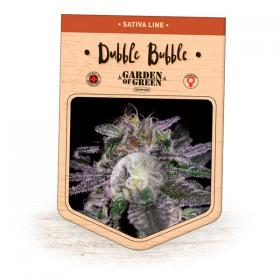 Dubble Bubble Feminised Seeds Dubble Bubble Feminised Seeds