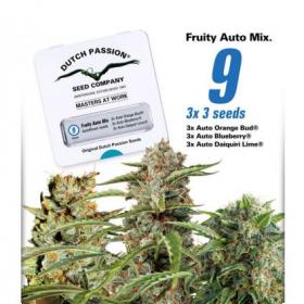 Fruity Mix Auto Feminised Seeds Fruity Mix Auto Feminised Seeds