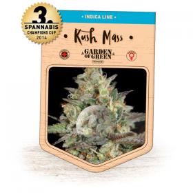 Kosher Kush Feminised Seeds Kosher Kush Feminised Seeds