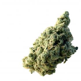 Lemon Ice Feminised Seeds Lemon Ice Feminised Seeds