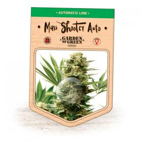 Mass Shooter Auto Feminised Seeds