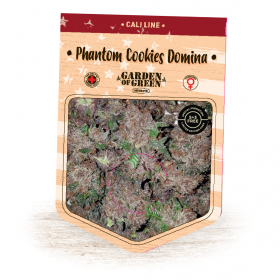 Phantom Cookies Domina Feminised Seeds Phantom Cookies Domina Feminised Seeds
