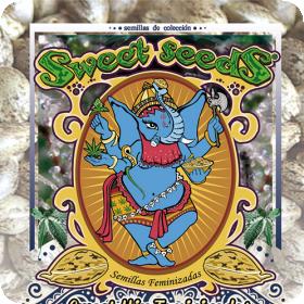 Sweet Mix Feminised Seeds Sweet Mix Feminised Seeds