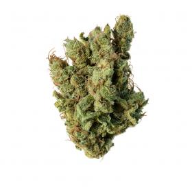 Super Silver Haze Feminised Seeds Super Silver Haze Feminised Seeds