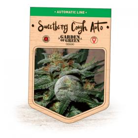 SweetBerry Cough AUTO Feminised Seeds SweetBerry Cough AUTO Feminised Seeds