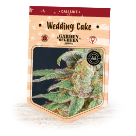 Wedding Cake Feminised Seeds Wedding Cake Feminised Seeds