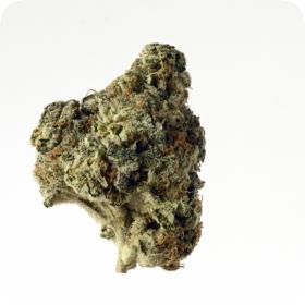 AK Choco Kush Feminised Seeds AK Choco Kush Feminised Seeds