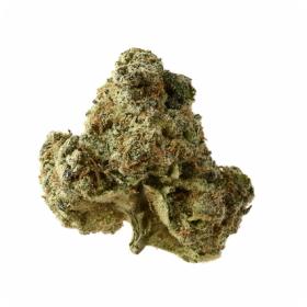 AK OG Kush Feminised Seeds AK OG Kush Feminised Seeds