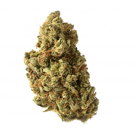Amazing Haze Feminised Seeds Amazing Haze Feminised Seeds
