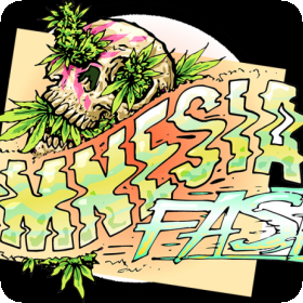 Amnesia FAST Feminised Seeds Amnesia FAST Feminised Seeds
