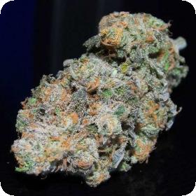 Blue Dream Regular Seeds Blue Dream Regular Seeds