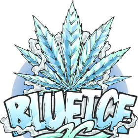 Blue Ice OG Feminised Seeds Blue Ice OG Feminised Seeds