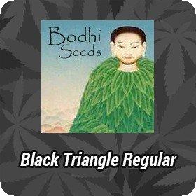 Black Triangle Regular Seeds