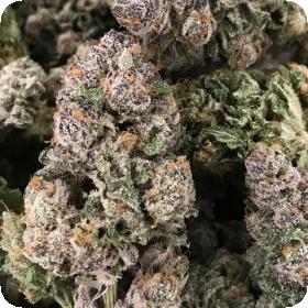 Dark Ghost Train Feminised Seeds Dark Ghost Train Feminised Seeds