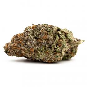 Gdp Gumberry Auto G O G G D P X G U M A U T O Feminised Cannabis Seeds