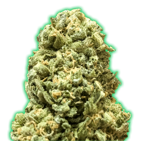 Girl Scout Cookies Monster