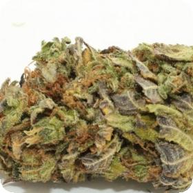Lemon Diesel Feminised Seeds Lemon Diesel Feminised Seeds