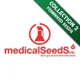 Collection 2 Feminised Seeds Collection 2 Feminised Seeds