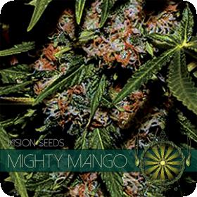 Mighty Mango Bud Feminised Seeds