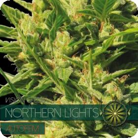 Northern Lights AUTO Feminised Seeds