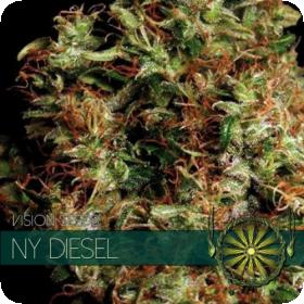 NY Diesel Feminised Seeds NY Diesel Feminised Seeds