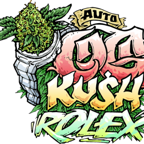 OG Kush Auto Feminised Seeds