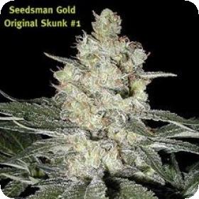 Original Skunk #1 Regular Seeds