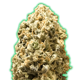 Monster Pebbles Feminised Seeds Monster Pebbles Feminised Seeds
