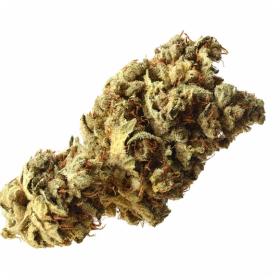 Pineapple Kush Feminised Seeds Pineapple Kush Feminised Seeds