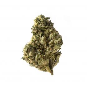 Strawberry Glue Feminised Seeds