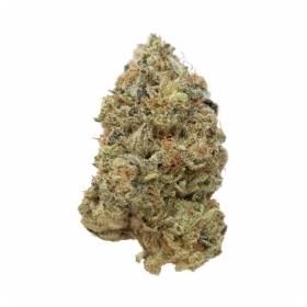 Tangerine G13 Feminised Seeds Tangerine G13 Feminised Seeds